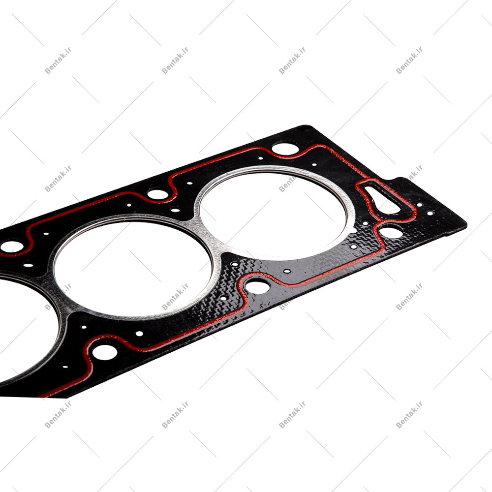 واشر-سرسیلندر-زانتیا-1800-دو-سوراخ-01