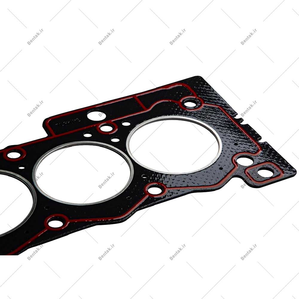 واشر-سرسیلندر-پژو-206-دو-سوراخ-اورجینال-01