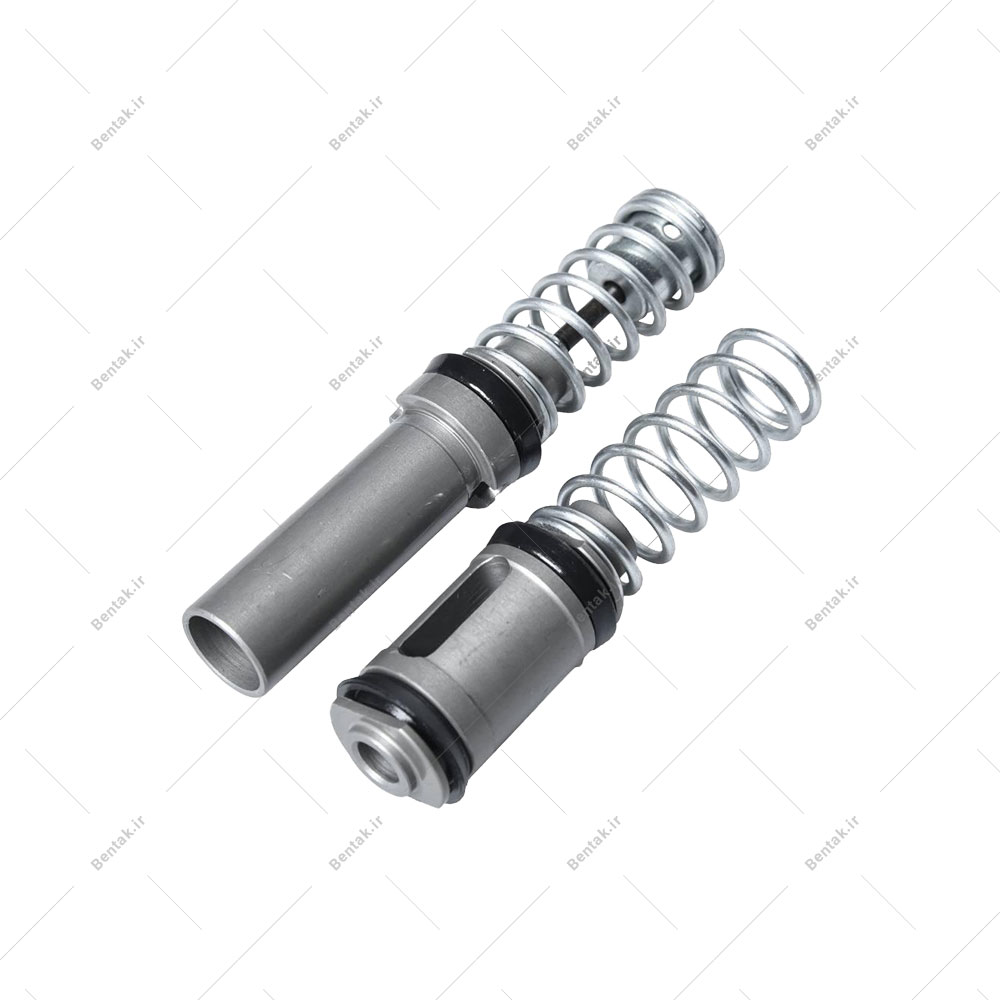 لوازم پمپ ترمز (دو پیستونه) سمند (کامل)